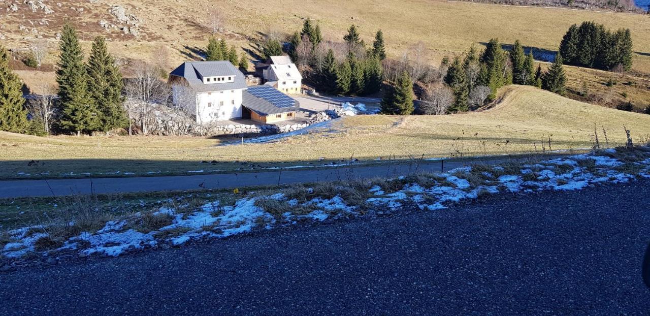 Ferienwohnung Natururlaub Muggenbrunn Todtnau Exteriör bild