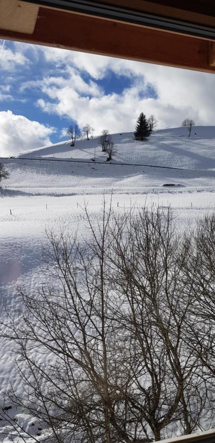 Ferienwohnung Natururlaub Muggenbrunn Todtnau Exteriör bild