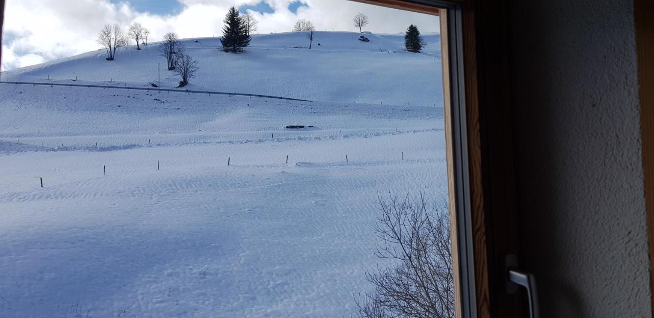 Ferienwohnung Natururlaub Muggenbrunn Todtnau Exteriör bild